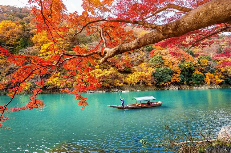 Où partir cet automne ? Automne - Kyoto