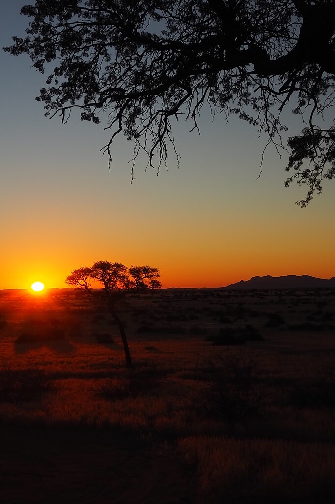 Retour de Namibie - juillet 2026